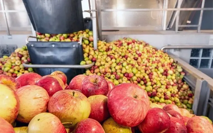 A large pile of red and green apples being processed through industrial machinery at a sorting facility.