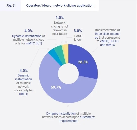 Network-Slicing-and-Naas-to-Drive-Operator-5G-Monetization-Key-Findings-of-the-New-Report-Infographic