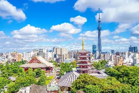 Explore Autonomous Networks and AI Solutions with Comarch at Interop Tokyo 2025