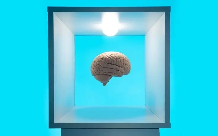 A model of a human brain floats inside a white square box illuminated by a single lightbulb against a blue background.